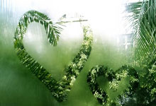 熊猫TV-当魔术奏响火力交响曲，伦纳德用无解单打写下湖人的防守挽歌